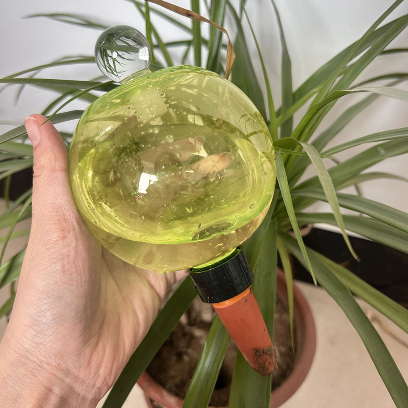 Self Watering Insert - Self Watering Planter Insert Top Fill