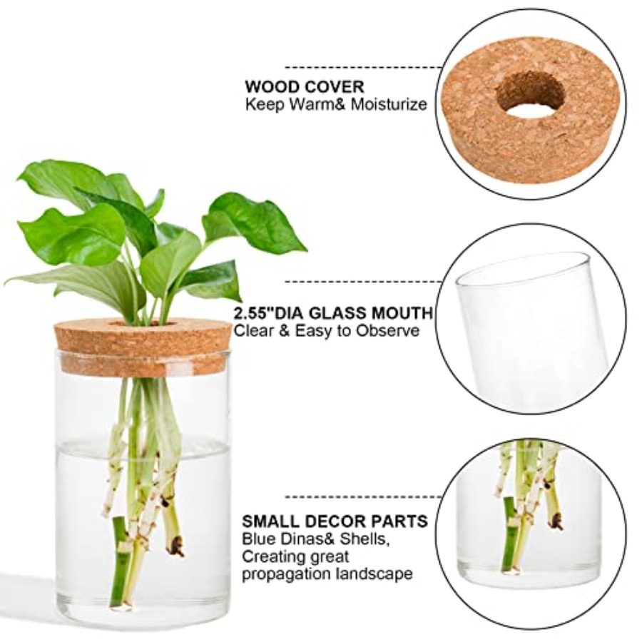 3 Pcs Plant Terrarium Propagat - Propagation Station Vase ulasan dan harga