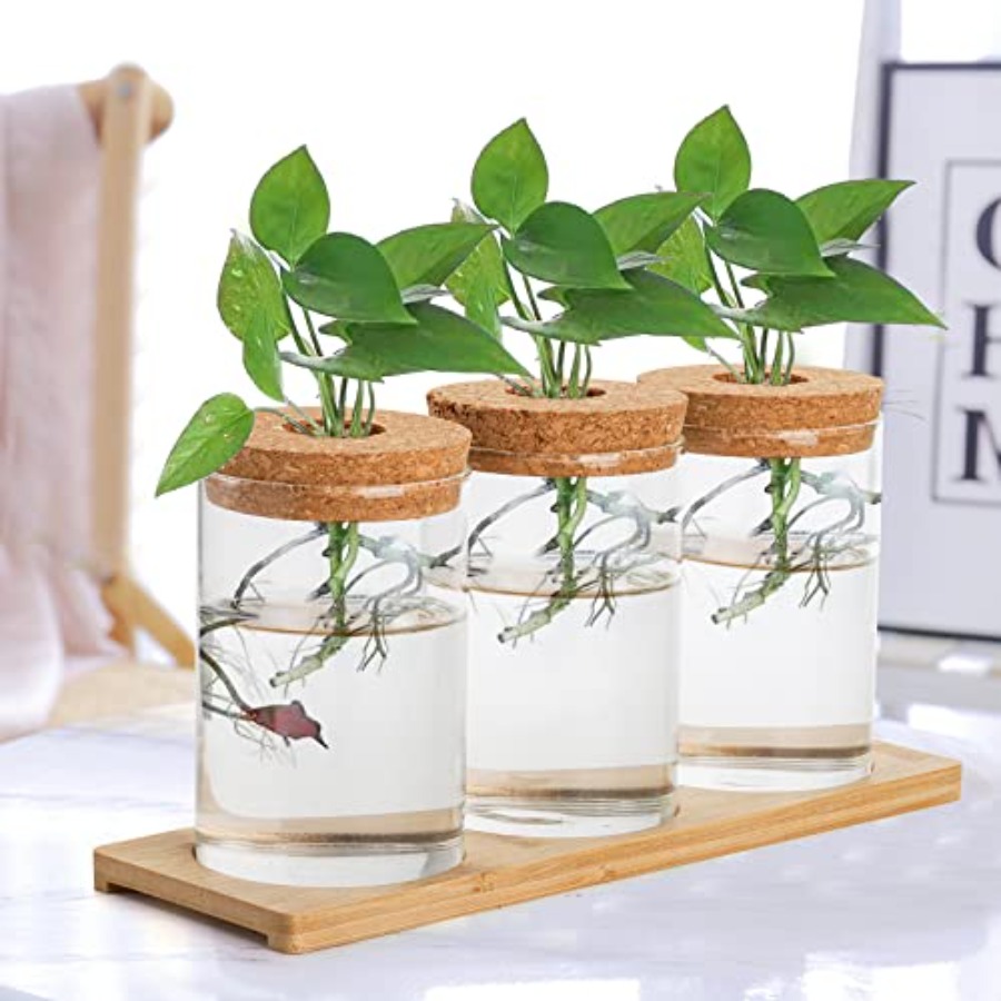 3 Pcs Plant Terrarium Propagat - Propagation Station Vase ulasan dan harga
