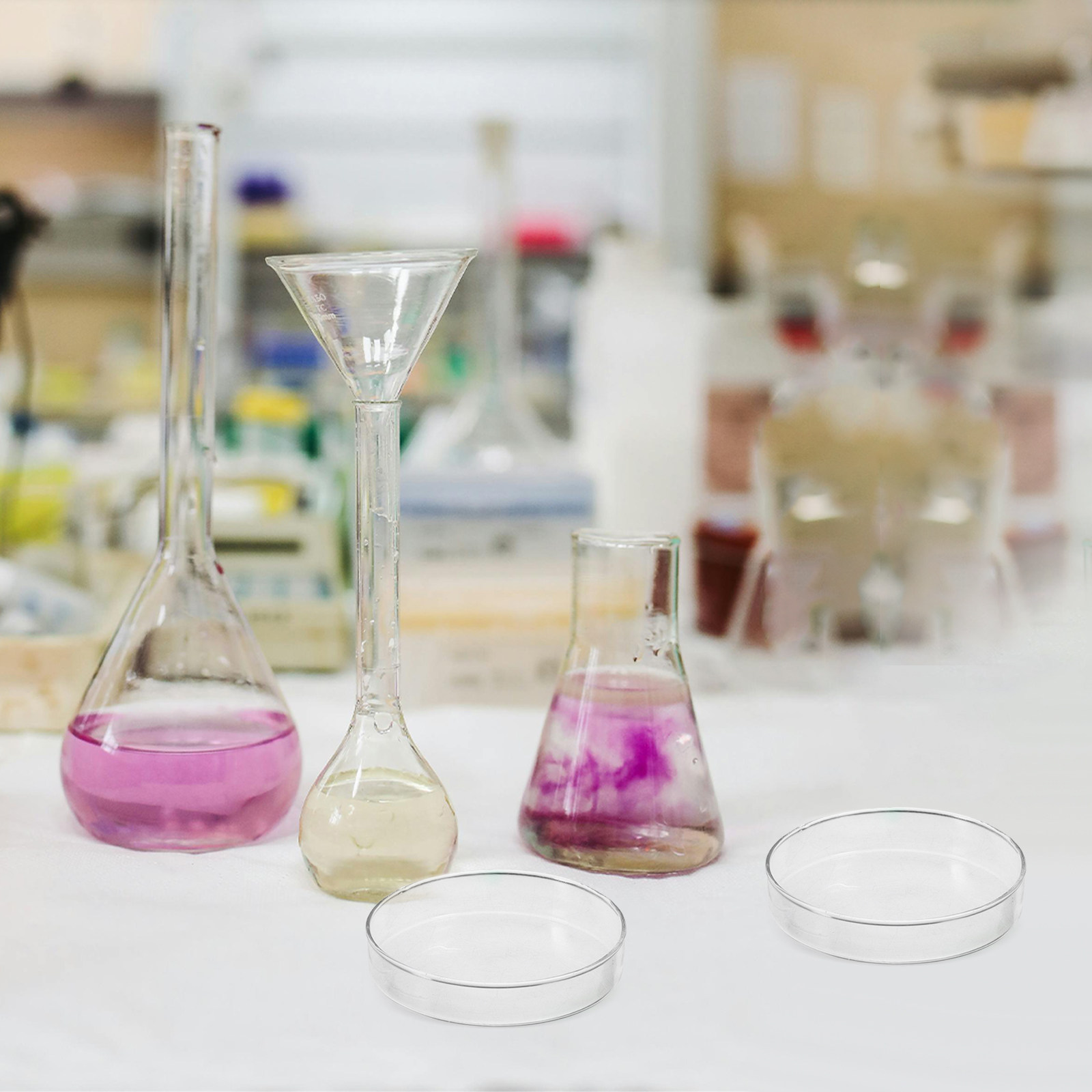 Glass Petri Dish Laboratory Fl - Agar Tissue Culture ulasan dan harga