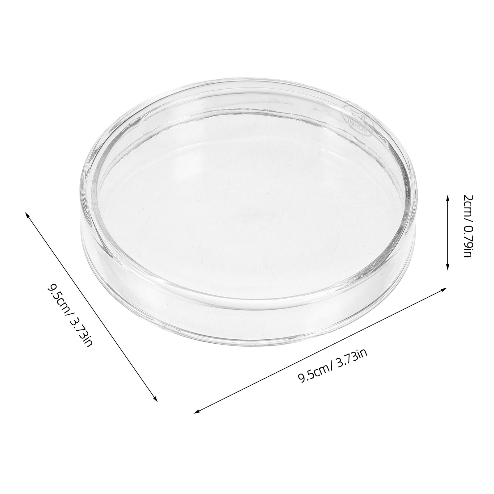 Glass Petri Dish Laboratory Fl - Agar Tissue Culture ulasan dan harga