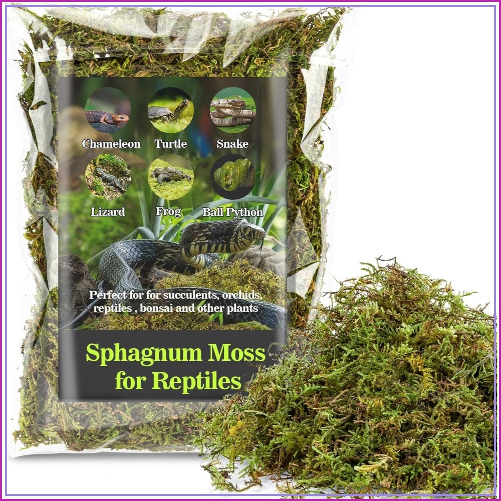 Sphagnum Moss for Reptiles - G - Sphagnum Moss Dry ulasan dan harga