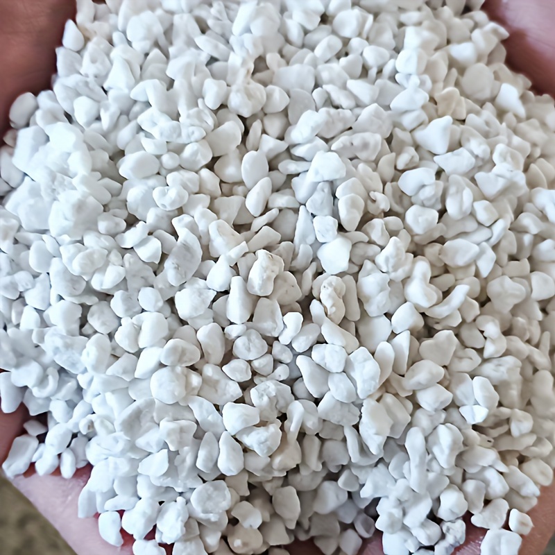 1Bag3-6mmGardening perlite for - Sphagnum Moss Dry ulasan dan harga