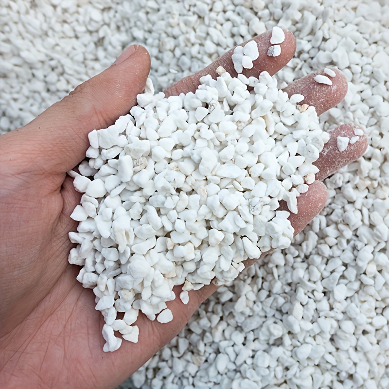 1Bag3-6mmGardening perlite for - Sphagnum Moss Dry ulasan dan harga
