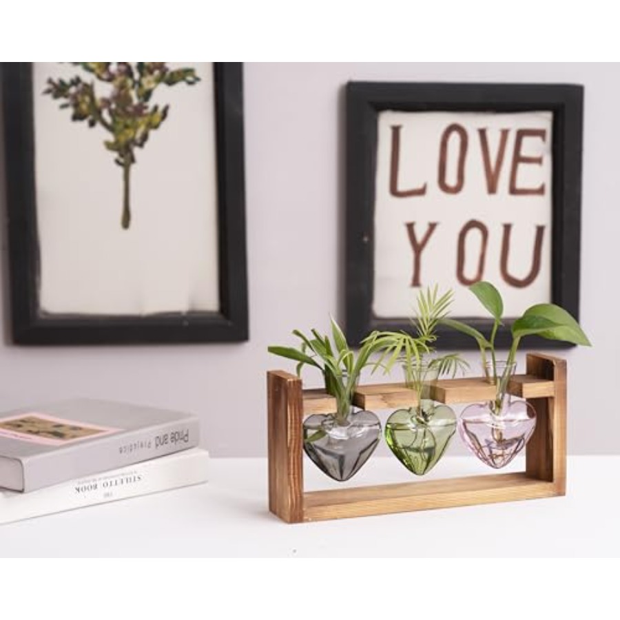 3-Heart Plant Terrarium Kit -  - Propagation Station Vase ulasan dan harga