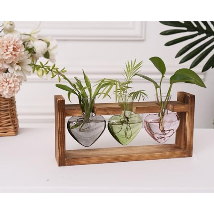 3-Heart Plant Terrarium Kit -  - Propagation Station Vase ulasan dan harga