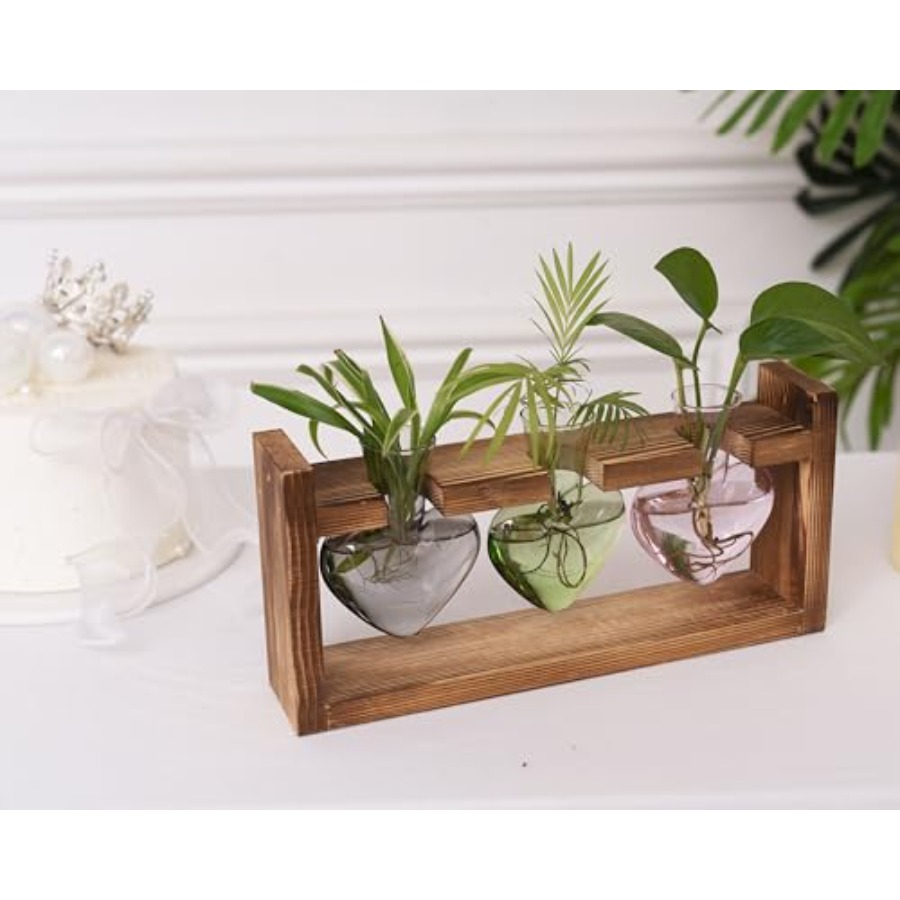 3-Heart Plant Terrarium Kit -  - Propagation Station Vase ulasan dan harga