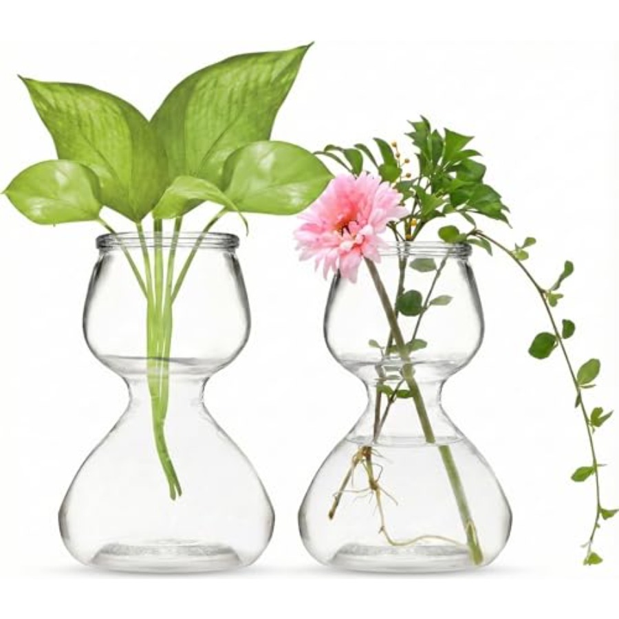 Garden Guru Plant Propagation  - Propagation Station Vase ulasan dan harga