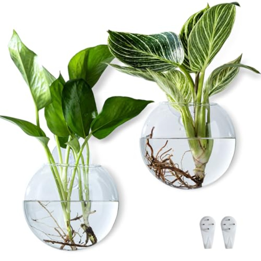 Wall Hanging Planter Propagati - Propagation Station Vase ulasan dan harga