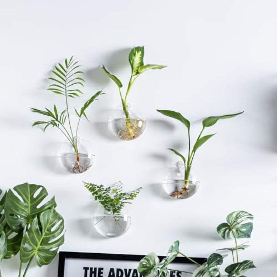 Wall Hanging Planter Propagati - Propagation Station Vase ulasan dan harga