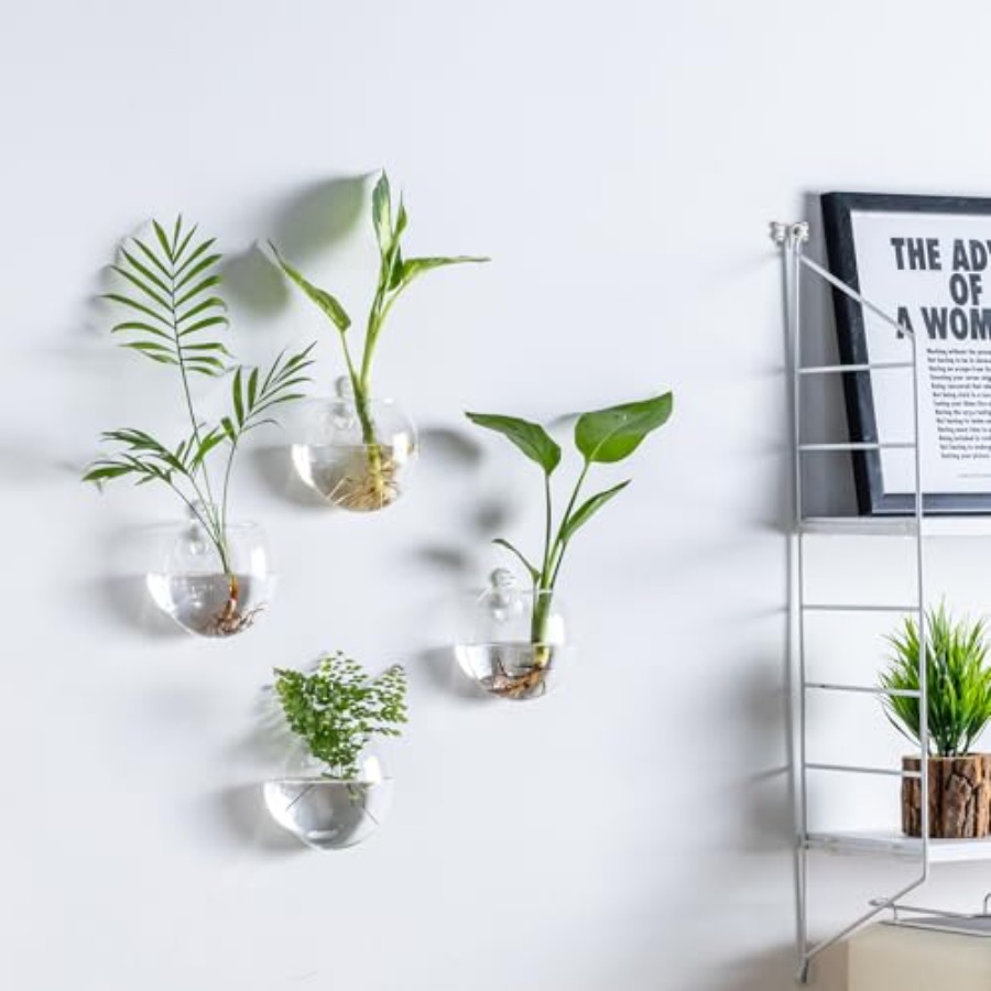 Wall Hanging Planter Propagati - Propagation Station Vase ulasan dan harga