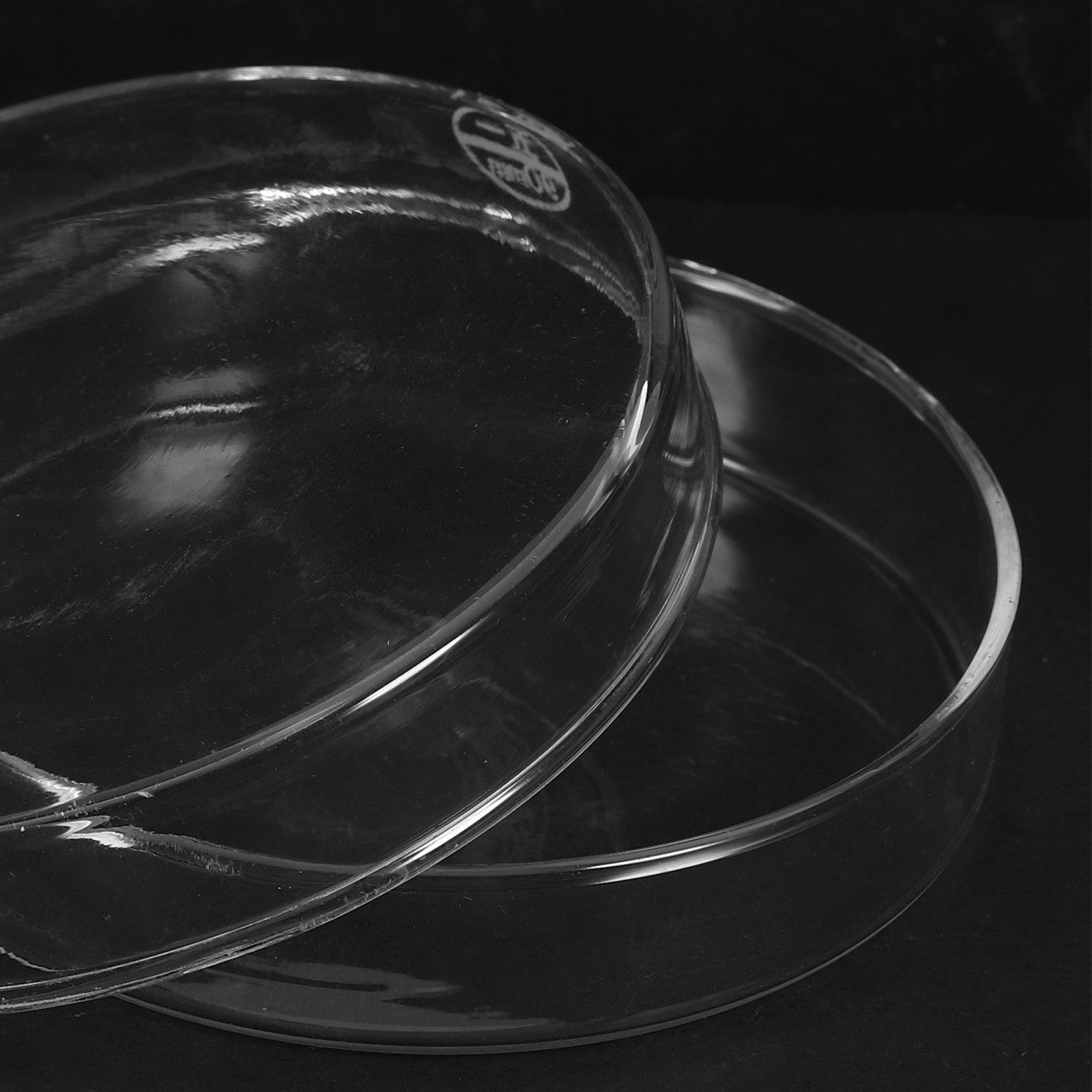 Laboratory Glass Petri Dish Fl - Agar Tissue Culture ulasan dan harga