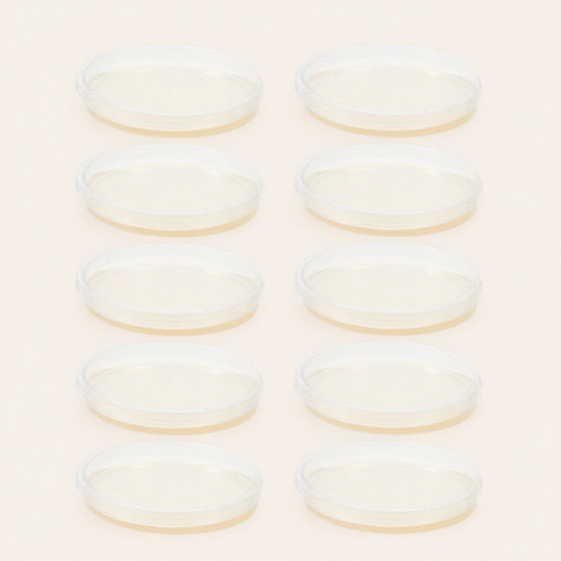 10Pcs Lb Agar Plates Portable  - Agar Tissue Culture ulasan dan harga