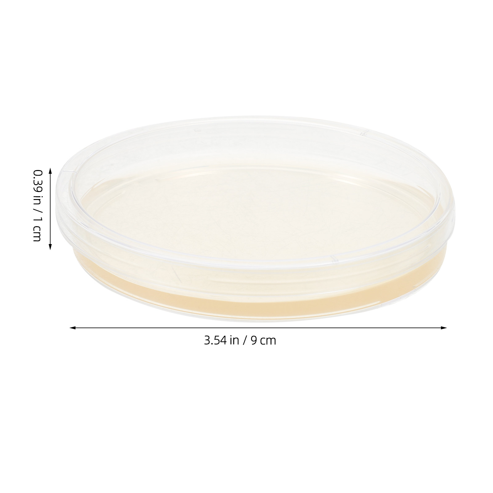 10Pcs Lb Agar Plates Portable  - Agar Tissue Culture ulasan dan harga