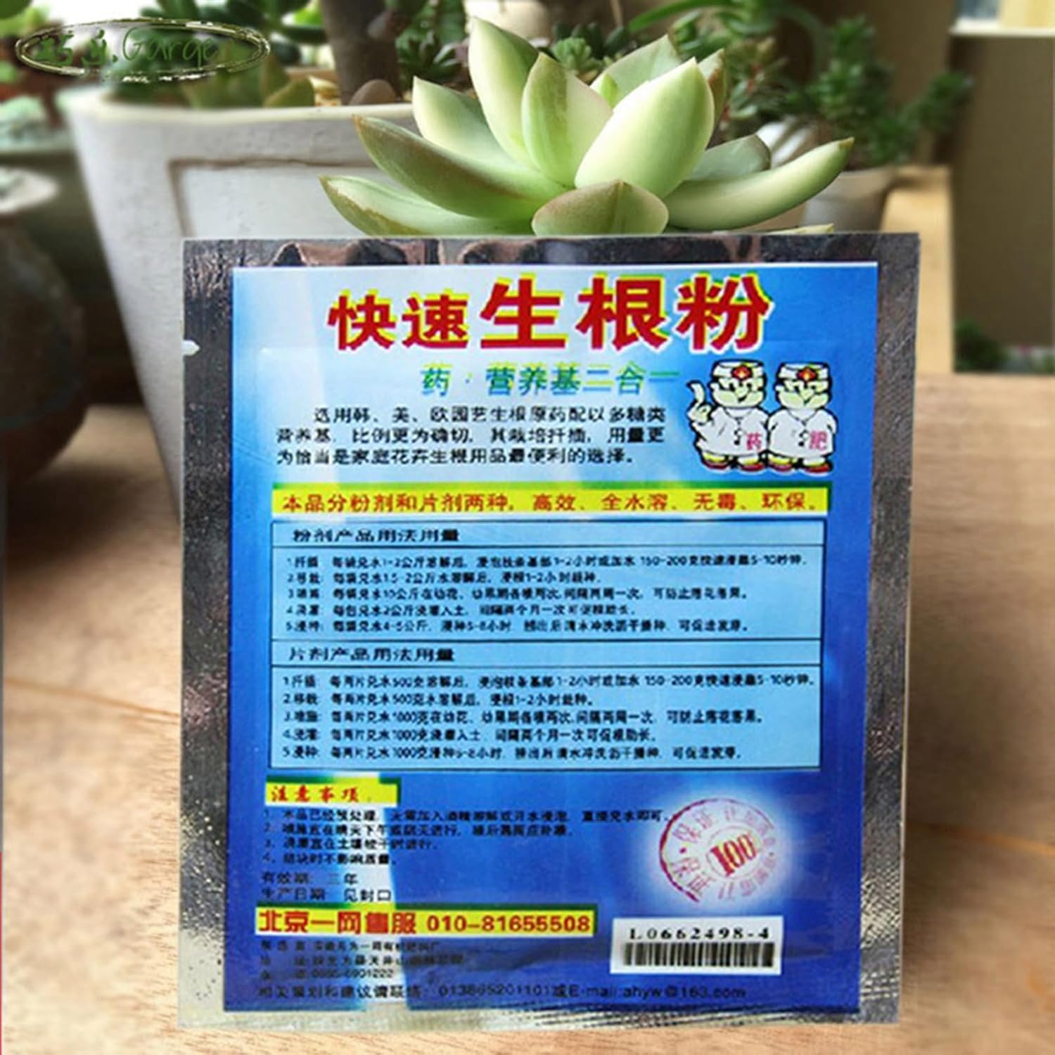 10 Bag 10g Rooting Powder for  - Rooting Hormone Powder ulasan dan harga