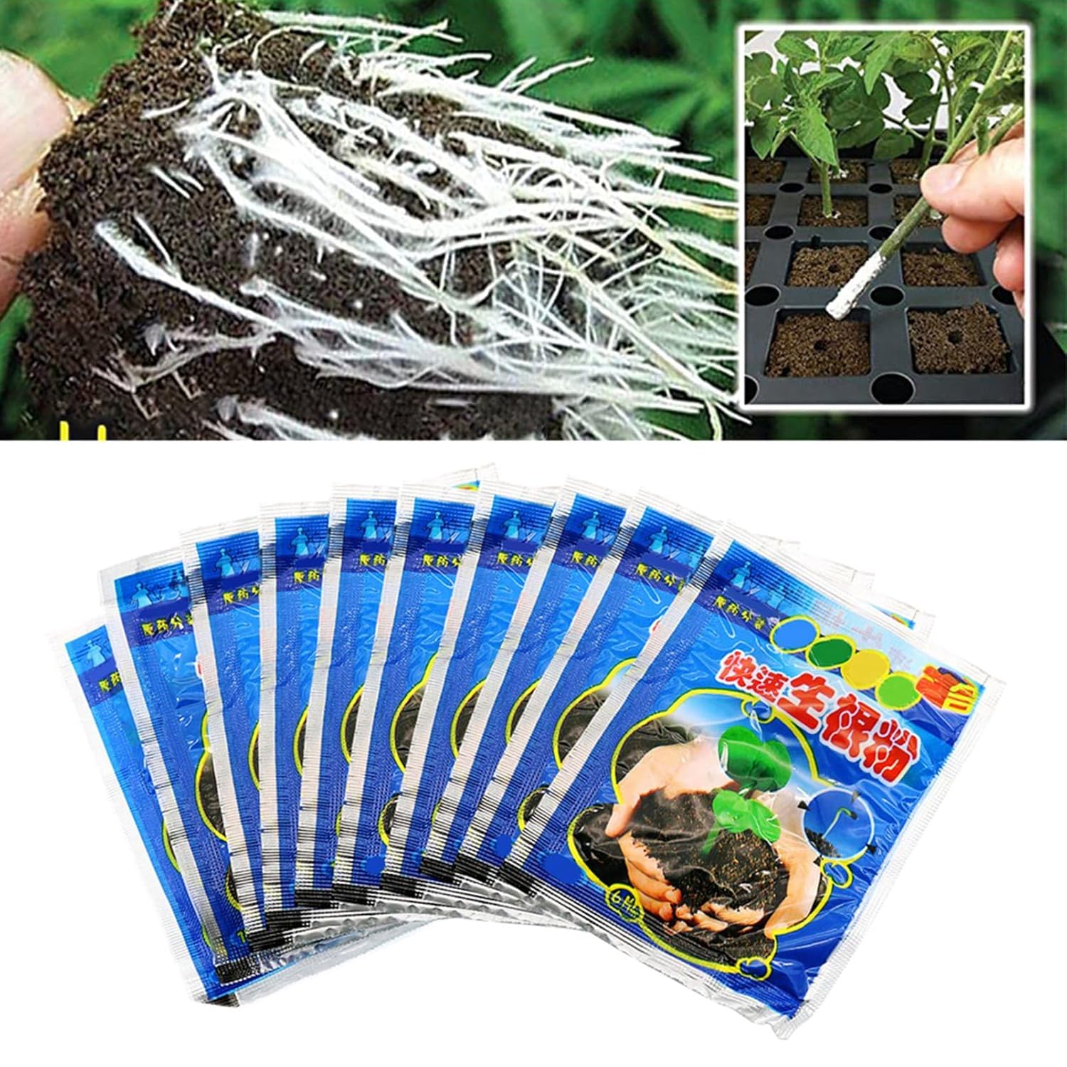 10 Bag 10g Rooting Powder for  - Rooting Hormone Powder ulasan dan harga