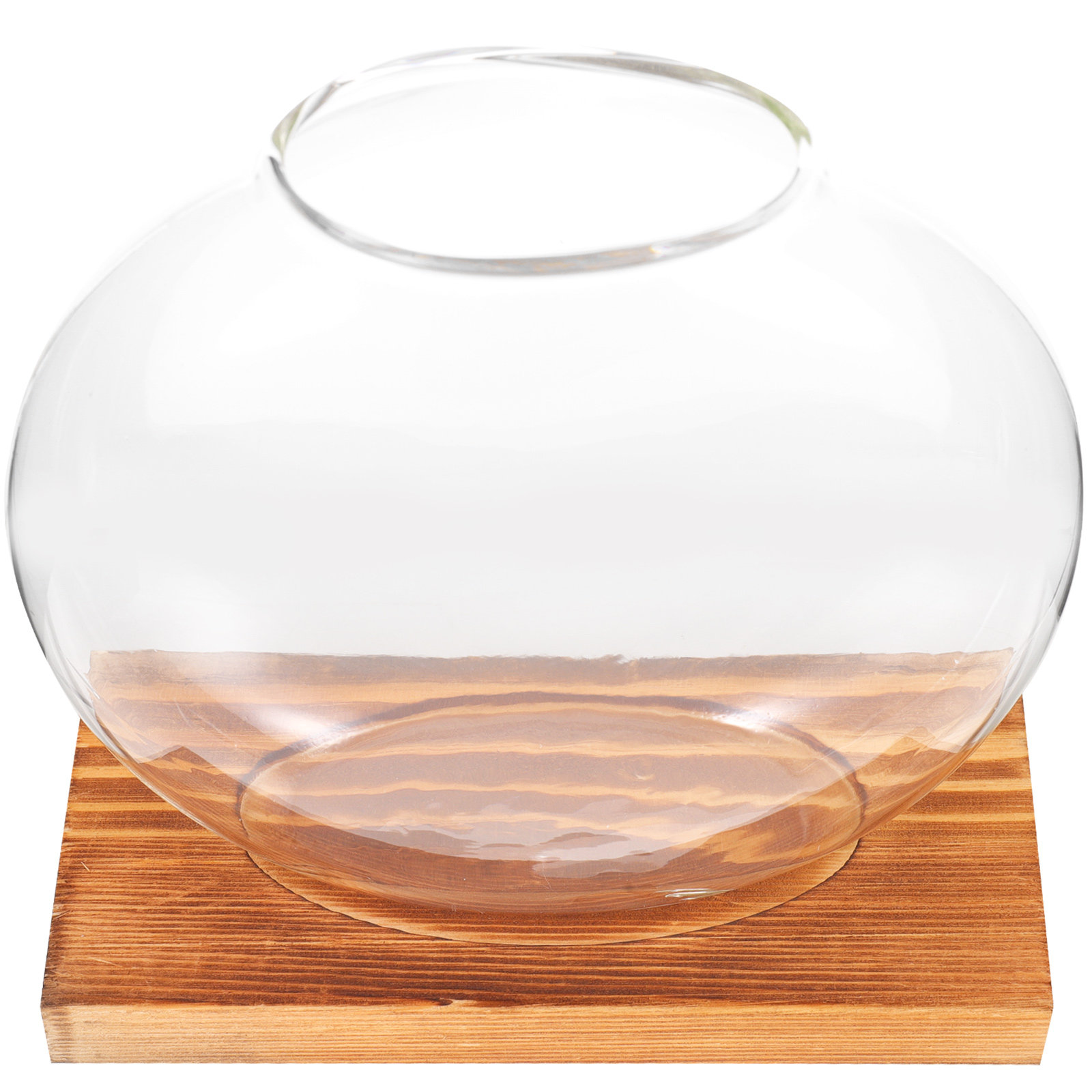 Glass Hydroponic Plant Vase wi - Propagation Station Vase ulasan dan harga
