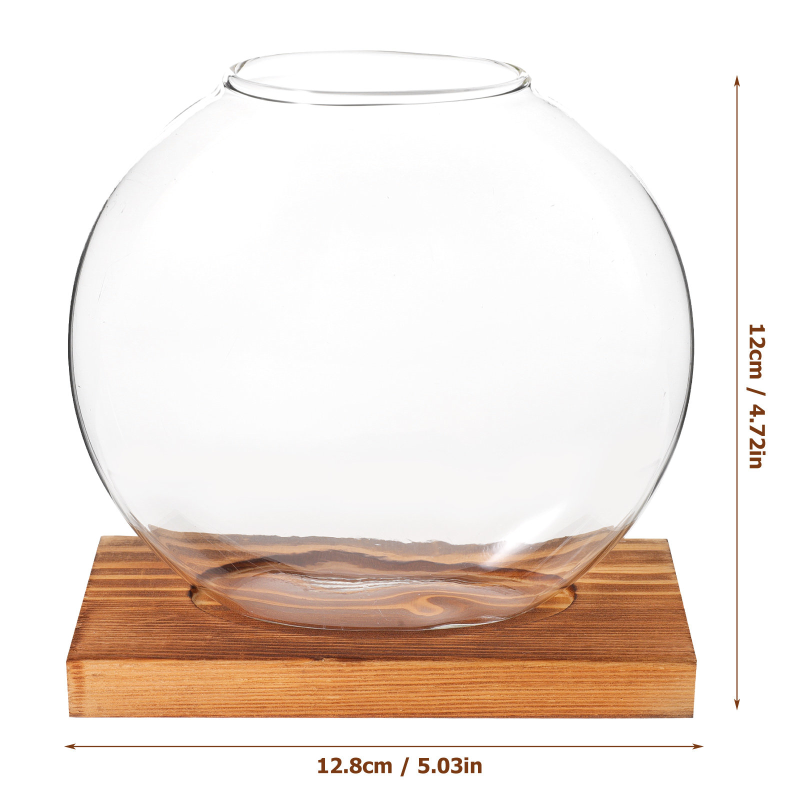 Glass Hydroponic Plant Vase wi - Propagation Station Vase ulasan dan harga